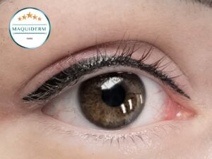 Photos de maquillages permanents